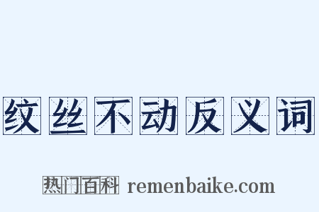 纹丝不动反义词是什么意思的图片